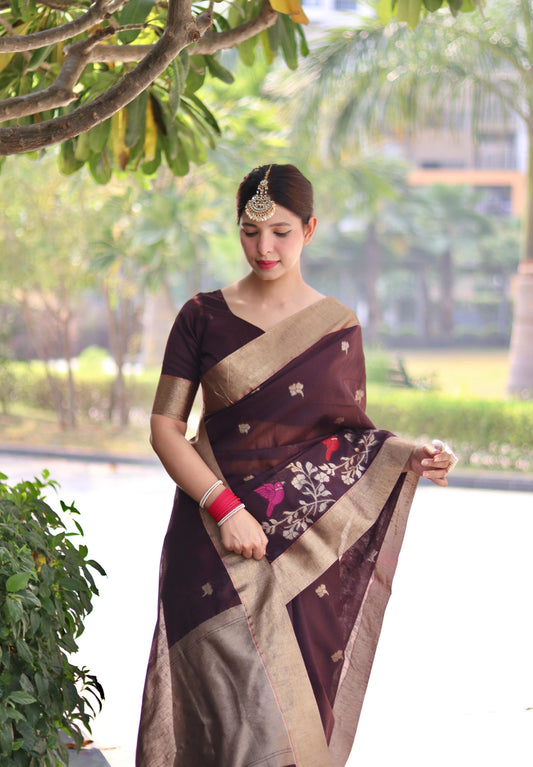 Vsaree Brown Silk Saree With traditional Jamdani type weaving border And Blouse