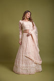 شبكة زفاف نسائية باللون الخوخي مطرزة بخيوط كانثا اللزجة، LEHENGA CHOLI 