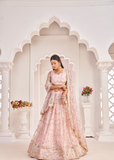 ملابس حفلات العمل النسائية ذات شبكة مطرزة على شكل فراشة وردية اللون، LEHENGA CHOLI 