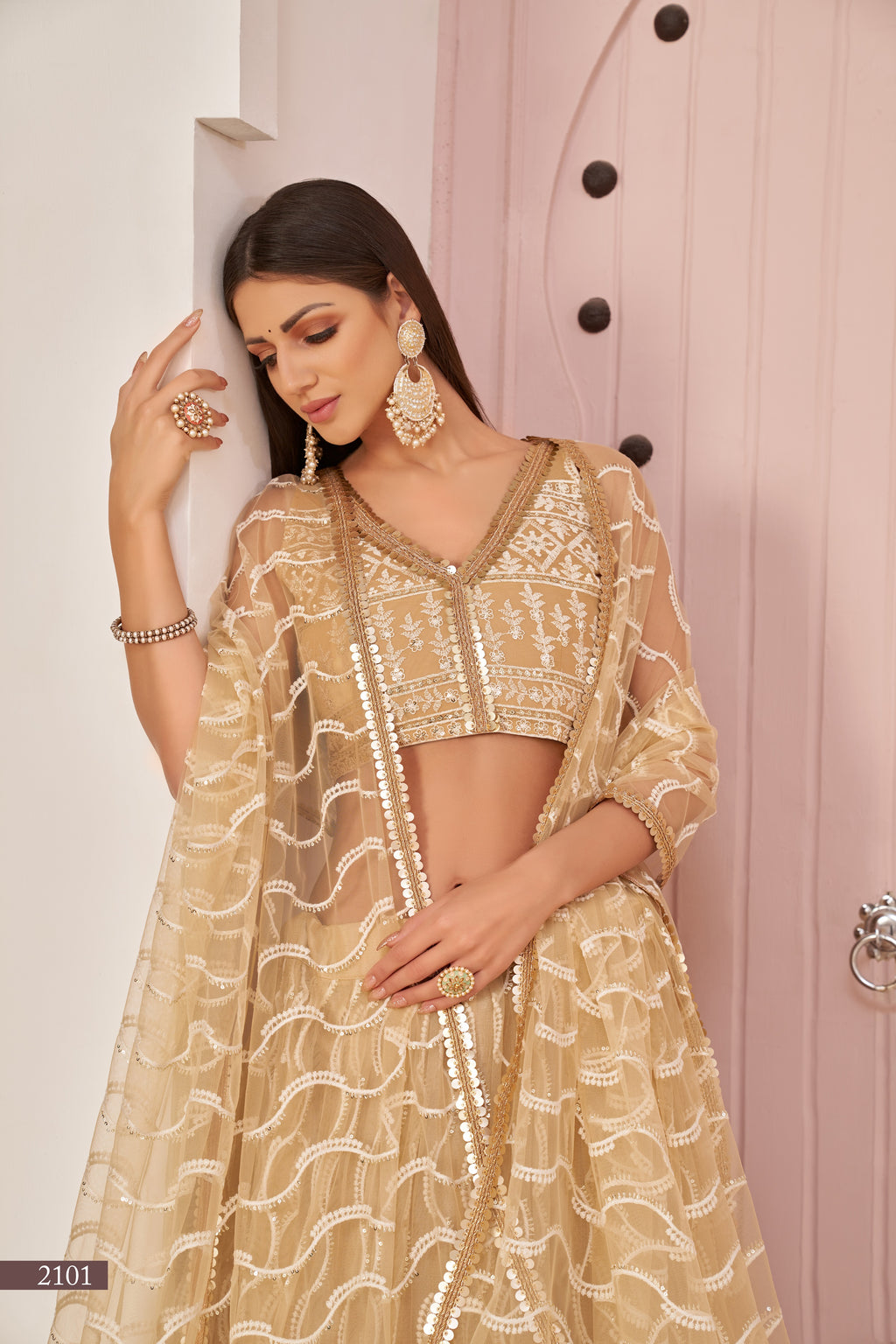 WOMEN'S BEIGE BUTTERFLY NET THREAD EMBROIDERED WORK DESIGNER LEHENGA CHOLI