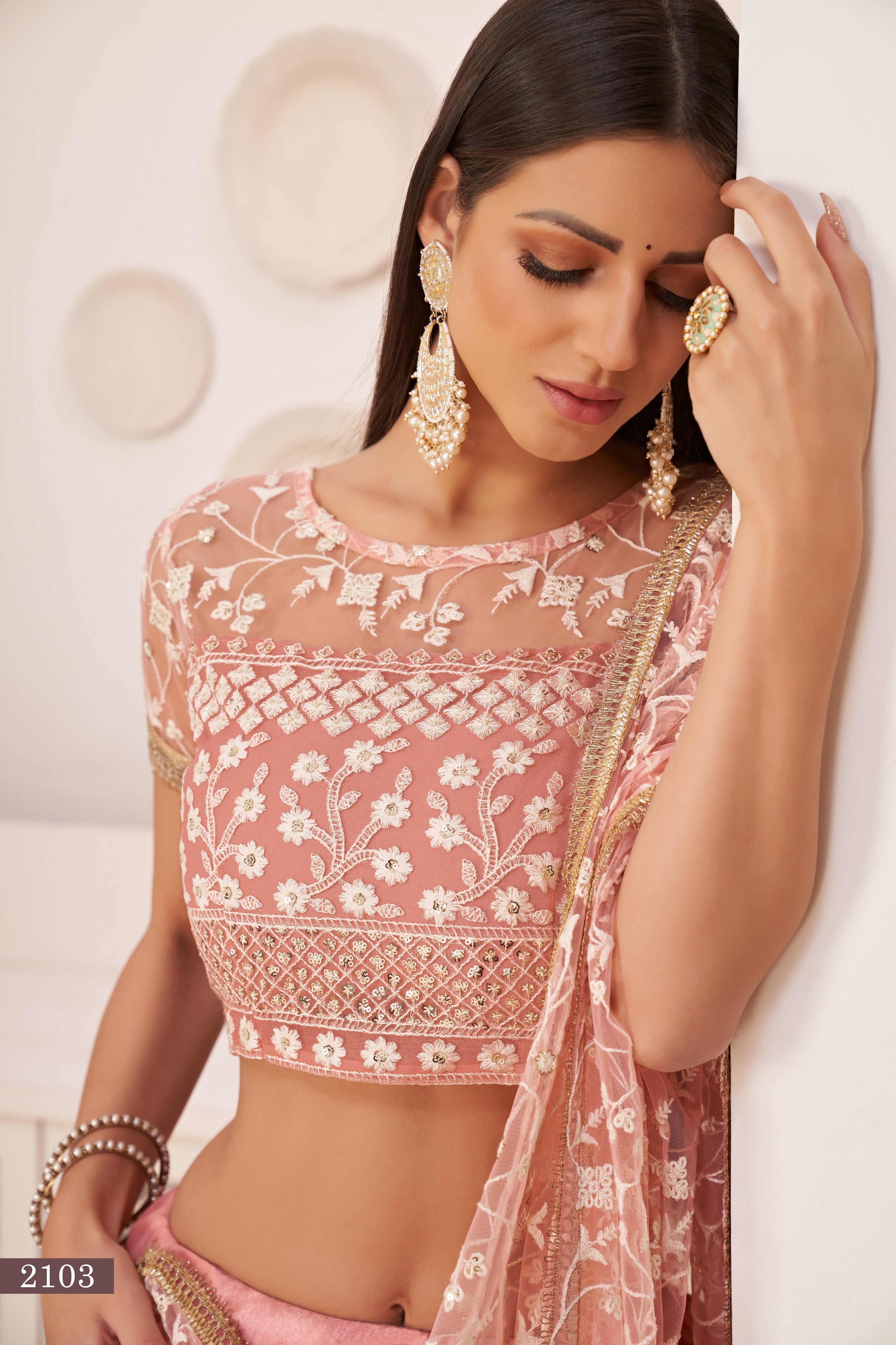 ملابس حفلات العمل النسائية ذات اللون الوردي الفاتح والمطرزة بشبكة على شكل فراشة، LEHENGA CHOLI 