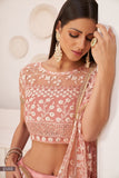 ملابس حفلات العمل النسائية ذات اللون الوردي الفاتح والمطرزة بشبكة على شكل فراشة، LEHENGA CHOLI 