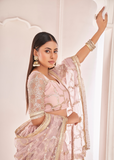 ملابس حفلات العمل النسائية ذات شبكة مطرزة على شكل فراشة وردية اللون، LEHENGA CHOLI 