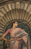 Vsaree Grey Banarasi Silk Designer Saree With Banarasi Border And Blouse
